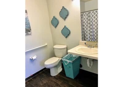 Avamere at Mountain Ridge Apartment Bathroom Layout