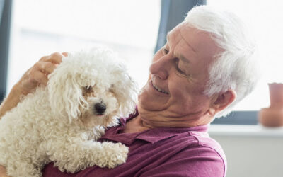 Pet Benefits for Seniors: Stress, Mood, Activity