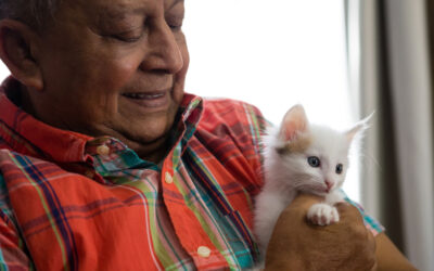Pet Benefits for Ogden Seniors: Considerations for Adopting a Pet